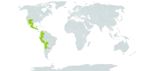 Drymaria glandulosa world distribution map, present in Argentina, Bolivia (Plurinational State of), Colombia, Guatemala, Honduras, Mexico, Peru, and United States of America