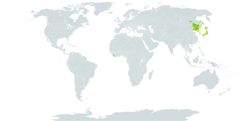 Dryopteris amurensis world distribution map, present in China, Japan, Liberia, Korea (Democratic People's Republic of), and Russian Federation