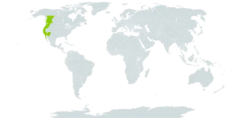 Dryopteris arguta world distribution map, present in Canada, Mexico, and United States of America