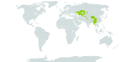 Dryopteris barbigera world distribution map, present in Bhutan, China, India, Kazakhstan, Myanmar, Nepal, Pakistan, Tajikistan, and Uzbekistan