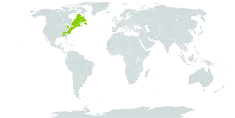 Dryopteris campyloptera world distribution map, present in Canada, France, and United States of America