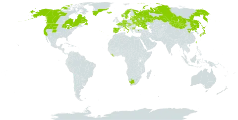 Dryopteris expansa world distribution map, present in Andorra, Bulgaria, Belarus, Canada, Switzerland, China, Czech Republic, Germany, Spain, Estonia, France, United Kingdom of Great Britain and Northern Ireland, Georgia, Greece, Greenland, Croatia, Hungary, Iceland, Italy, Japan, Liberia, Liechtenstein, Lithuania, Latvia, Montenegro, Mongolia, Norway, Korea (Democratic People's Republic of), Portugal, Russian Federation, Serbia, Slovakia, Slovenia, Sweden, Turkey, Taiwan, Province of China, Ukraine, United States of America, and South Africa