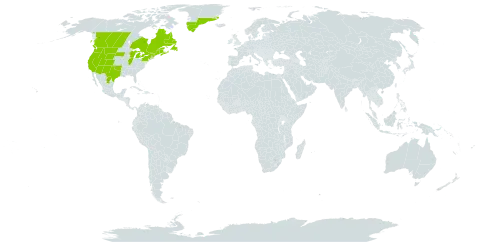 Dryopteris filix-mas subsp. brittonii world distribution map, present in Canada, France, Greenland, Mexico, Saint Pierre and Miquelon, and United States of America