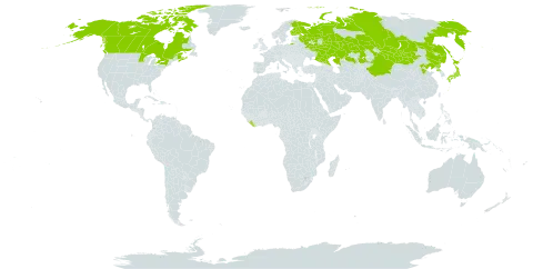 Dryopteris fragrans world distribution map, present in Canada, China, Finland, Japan, Kazakhstan, Liberia, Mongolia, Korea (Democratic People's Republic of), Russian Federation, and United States of America