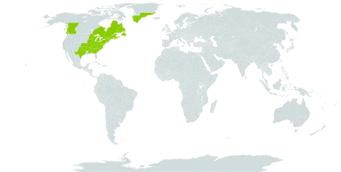 Dryopteris marginalis world distribution map, present in Canada, Greenland, and United States of America