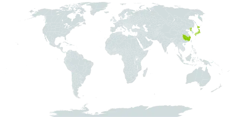 Dryopteris tokyoensis world distribution map, present in China, Japan, and Korea (Democratic People's Republic of)