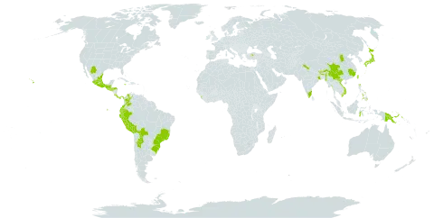 Dryopteris wallichiana subsp. wallichiana world distribution map, present in Argentina, Bolivia (Plurinational State of), Brazil, Bhutan, China, Colombia, Costa Rica, Ecuador, Guatemala, Honduras, Indonesia, India, Jamaica, Japan, Sri Lanka, Mexico, Myanmar, Nepal, Panama, Peru, Philippines, Papua New Guinea, El Salvador, Turkey, Taiwan, Province of China, United States of America, Venezuela (Bolivarian Republic of), and Viet Nam