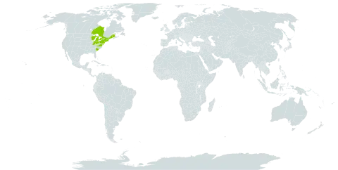 Dryopteris x slossoniae world distribution map, present in Canada and United States of America