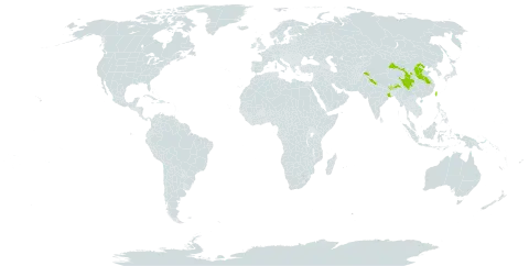 Dryopteris xanthomelas world distribution map, present in Bhutan, China, India, Nepal, Pakistan, and Taiwan, Province of China