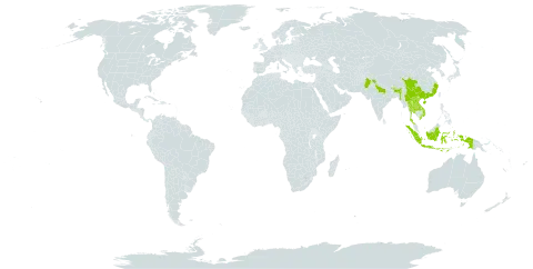 Duhaldea cappa world distribution map, present in Bhutan, China, Indonesia, India, Lao People's Democratic Republic, Myanmar, Nepal, Pakistan, Thailand, and Viet Nam