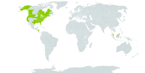 Dulichium arundinaceum var. arundinaceum world distribution map, present in Åland Islands, Canada, France, Micronesia (Federated States of), Georgia, Malaysia, Nicaragua, and United States of America