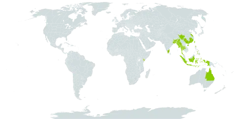 Dunbaria punctata world distribution map, present in Australia, Bangladesh, China, Indonesia, India, Kenya, Myanmar, Nepal, Philippines, Thailand, and Taiwan, Province of China