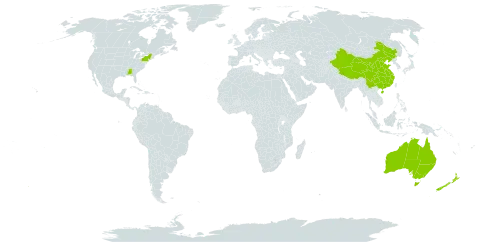 Ecballium world distribution map, present in Australia, China, New Zealand, and United States of America