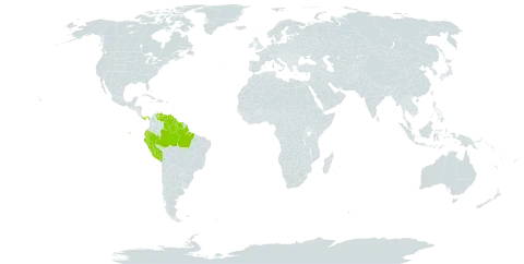 Ecclinusa guianensis world distribution map, present in Brazil, Ecuador, Guyana, Panama, Peru, Suriname, and Venezuela (Bolivarian Republic of)