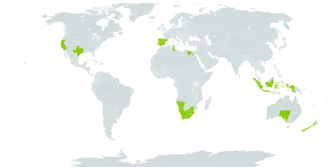 Ehrharta calycina world distribution map, present in Australia, Egypt, Spain, Indonesia, Lesotho, Namibia, New Zealand, Portugal, Tunisia, United States of America, and South Africa