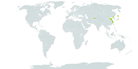 Elaeagnus macrophylla world distribution map, present in China, Japan, Korea (Democratic People's Republic of), Tajikistan, and Taiwan, Province of China