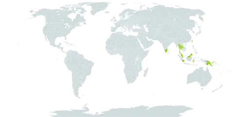 Elaphoglossum commutatum world distribution map, present in Indonesia, India, Sri Lanka, Malaysia, Papua New Guinea, Thailand, and Taiwan, Province of China