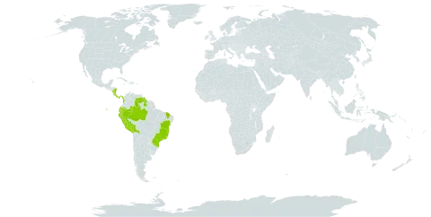 Elaphoglossum nigrescens world distribution map, present in Bolivia (Plurinational State of), Brazil, Colombia, Costa Rica, Ecuador, Grenada, Guyana, Nicaragua, Panama, Peru, and Venezuela (Bolivarian Republic of)