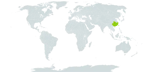 Elatostema obtusum var. trilobulatum world distribution map, present in China, Philippines, and Taiwan, Province of China