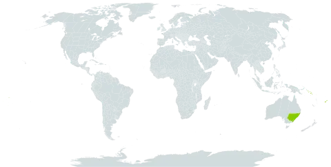 Elattostachys world distribution map, present in Australia, Fiji, Solomon Islands, Tonga, and Samoa