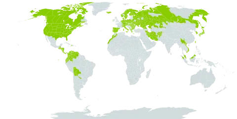 Eleocharis acicularis world distribution map, present in Afghanistan, Åland Islands, Albania, Argentina, Austria, Bulgaria, Belarus, Bolivia (Plurinational State of), Canada, Switzerland, China, Colombia, Costa Rica, Czech Republic, Germany, Denmark, Algeria, Ecuador, Spain, Finland, France, Micronesia (Federated States of), Georgia, Greece, Guatemala, Honduras, Haiti, Hungary, Indonesia, Ireland, Iran (Islamic Republic of), Iceland, Italy, Japan, Kazakhstan, Korea (Republic of), Sri Lanka, Morocco, Montenegro, Malaysia, Nicaragua, Netherlands, Norway, Panama, Philippines, Poland, Portugal, Romania, Russian Federation, Sweden, Turks and Caicos Islands, Taiwan, Province of China, Ukraine, United States of America, Venezuela (Bolivarian Republic of), and Viet Nam