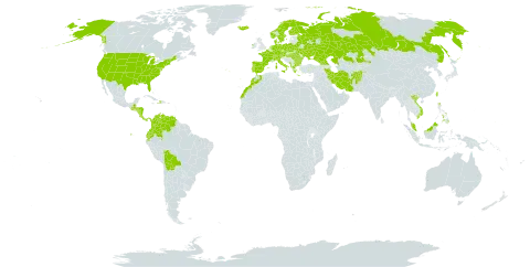 Eleocharis acicularis var. acicularis world distribution map, present in Afghanistan, Åland Islands, Albania, Austria, Bulgaria, Belarus, Bolivia (Plurinational State of), Switzerland, Colombia, Costa Rica, Czech Republic, Germany, Denmark, Ecuador, Spain, Finland, France, Micronesia (Federated States of), Georgia, Greece, Guatemala, Honduras, Haiti, Hungary, Ireland, Iran (Islamic Republic of), Iceland, Italy, Kazakhstan, Morocco, Montenegro, Malaysia, Nicaragua, Netherlands, Norway, Panama, Philippines, Poland, Portugal, Romania, Russian Federation, Sweden, Turks and Caicos Islands, Taiwan, Province of China, Ukraine, United States of America, Venezuela (Bolivarian Republic of), and Viet Nam