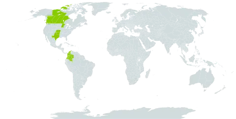 Eleocharis compressa var. acutisquamata world distribution map, present in Canada, Colombia, and United States of America