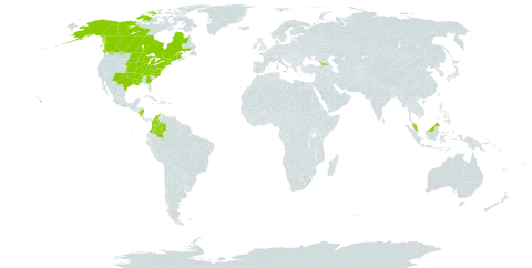 Eleocharis erythropoda world distribution map, present in Åland Islands, Canada, Colombia, Micronesia (Federated States of), Georgia, Malaysia, Nicaragua, and United States of America