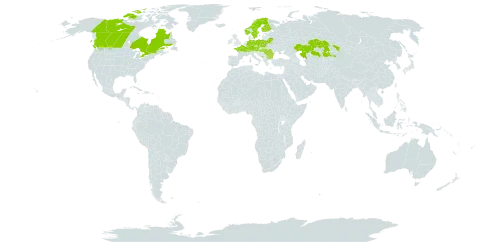 Eleocharis mamillata subsp. mamillata world distribution map, present in Austria, Bulgaria, Belarus, Canada, Switzerland, Czech Republic, Germany, Finland, France, Hungary, Kazakhstan, Montenegro, Norway, Poland, Romania, and Sweden