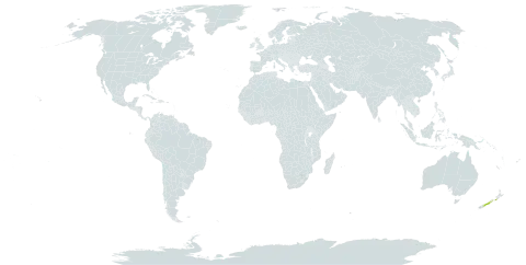 Eleocharis neozelandica world distribution map, present in New Zealand