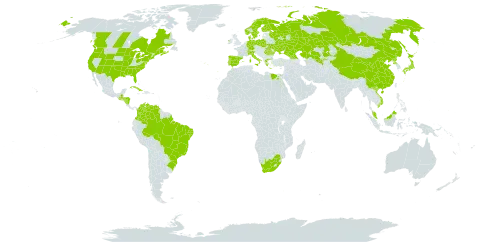 Eleocharis parvula world distribution map, present in Åland Islands, Brazil, Canada, Switzerland, China, Colombia, Cuba, Germany, Denmark, Egypt, Spain, Finland, France, Micronesia (Federated States of), Georgia, Greece, Guatemala, Honduras, Ireland, Italy, Japan, Kazakhstan, Malaysia, Nicaragua, Norway, Poland, Korea (Democratic People's Republic of), Portugal, Romania, Russian Federation, Sweden, Ukraine, United States of America, Uzbekistan, Venezuela (Bolivarian Republic of), Viet Nam, and South Africa