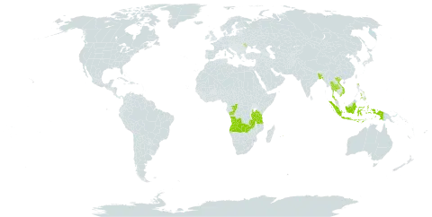 Eleocharis retroflexa subsp. chaetaria world distribution map, present in Angola, Andorra, Bangladesh, Congo, Indonesia, Moldova (Republic of), Mauritius, Nepal, Philippines, Thailand, Tanzania, United Republic of, Viet Nam, and Zambia