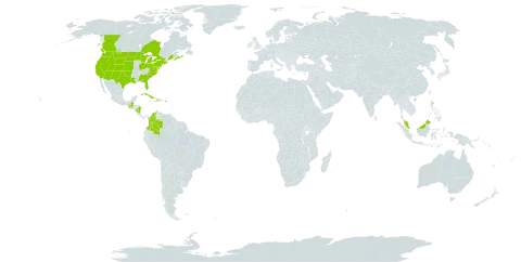 Eleocharis rostellata world distribution map, present in Åland Islands, Bermuda, Canada, Colombia, Cuba, Cayman Islands, Micronesia (Federated States of), Guatemala, Haiti, Malaysia, Nicaragua, Puerto Rico, and United States of America