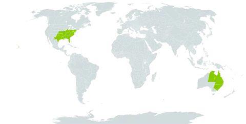 Elephantopus world distribution map, present in Australia, United States Minor Outlying Islands, and United States of America