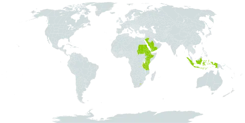 Eleusine multiflora world distribution map, present in Eritrea, Ethiopia, Indonesia, Kenya, Lesotho, Saudi Arabia, Sudan, Tanzania, United Republic of, and Yemen