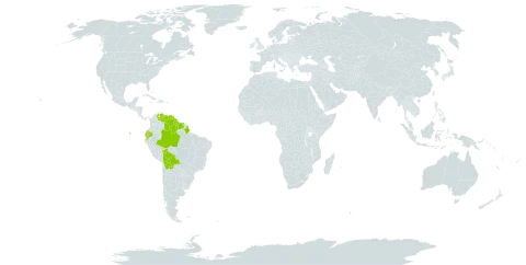 Elleanthus caravata world distribution map, present in Bolivia (Plurinational State of), Brazil, Ecuador, Guyana, Suriname, and Venezuela (Bolivarian Republic of)