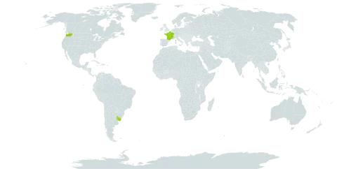 Elodea callitrichoides world distribution map, present in France, Uruguay, and United States of America