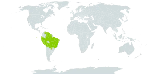 Elodea granatensis world distribution map, present in Bolivia (Plurinational State of), Brazil, Ecuador, Guyana, Peru, Paraguay, Suriname, and Venezuela (Bolivarian Republic of)