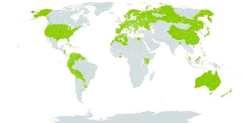 Elodea world distribution map, present in Åland Islands, Australia, Austria, Bangladesh, Bulgaria, Belarus, Bolivia (Plurinational State of), Switzerland, China, Colombia, Costa Rica, Cuba, Czech Republic, Germany, Denmark, Algeria, Ecuador, Egypt, Spain, Finland, France, Micronesia (Federated States of), Georgia, Ghana, Greece, Guyana, Hungary, Ireland, Italy, Jamaica, Japan, Kenya, Morocco, Malaysia, Nicaragua, Netherlands, Norway, New Zealand, Peru, Philippines, Palau, Poland, Puerto Rico, Portugal, Paraguay, Romania, Russian Federation, Suriname, Sweden, Taiwan, Province of China, Uganda, Ukraine, Uruguay, United States of America, and Venezuela (Bolivarian Republic of)