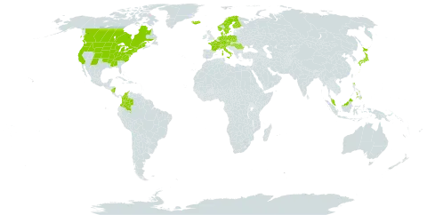 Elodea nuttallii world distribution map, present in Austria, Canada, Switzerland, Colombia, Czech Republic, Germany, Denmark, Finland, France, Micronesia (Federated States of), Hungary, Iceland, Italy, Japan, Malaysia, Nicaragua, Netherlands, Norway, Philippines, Poland, Romania, Sweden, and United States of America