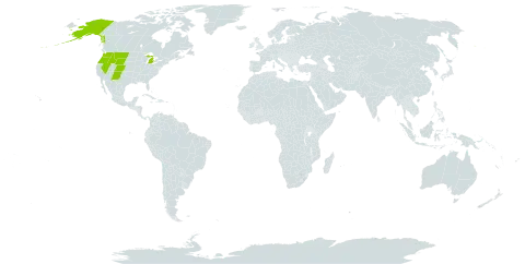 Elymus alaskanus world distribution map, present in United States of America