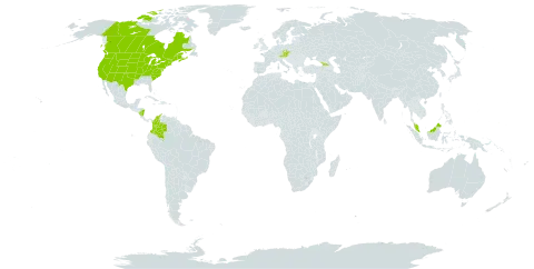 Elymus canadensis world distribution map, present in Åland Islands, Austria, Canada, Colombia, Czech Republic, Micronesia (Federated States of), Georgia, Malaysia, Nicaragua, and United States of America