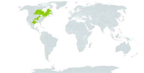 Elymus x maltei world distribution map, present in Canada and United States of America