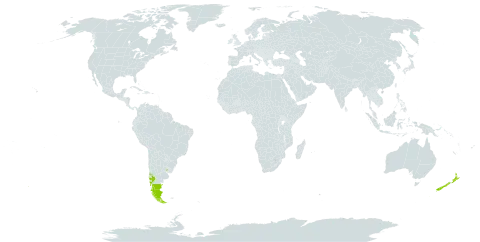 Embothrium coccineum world distribution map, present in Argentina, Chile, New Zealand, and Uruguay