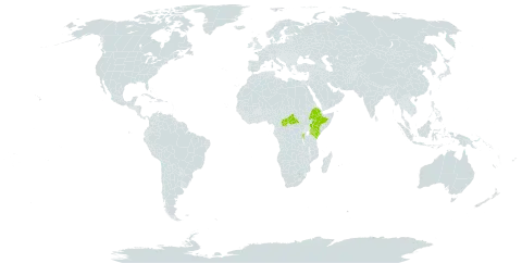 Emilia jeffreyana world distribution map, present in Burundi, Central African Republic, Ethiopia, Kenya, Rwanda, and Uganda