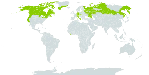 Empetrum nigrum subsp. hermaphroditum world distribution map, present in Andorra, Bosnia and Herzegovina, Canada, Switzerland, Czech Republic, Germany, France, Greenland, Italy, Liberia, Liechtenstein, Russian Federation, Saint Pierre and Miquelon, Slovakia, Slovenia, and United States of America