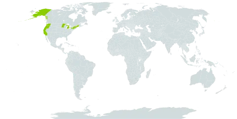 Empetrum world distribution map, present in United States of America