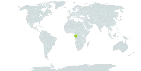 Empogona breteleri world distribution map, present in Congo and Gabon