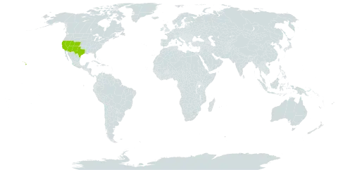 Encelia world distribution map, present in United States of America