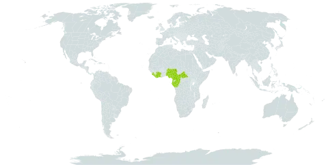 Englerina gabonensis world distribution map, present in Central African Republic, Côte d'Ivoire, Cameroon, Congo, Gabon, Equatorial Guinea, Liberia, Nigeria, and Sierra Leone